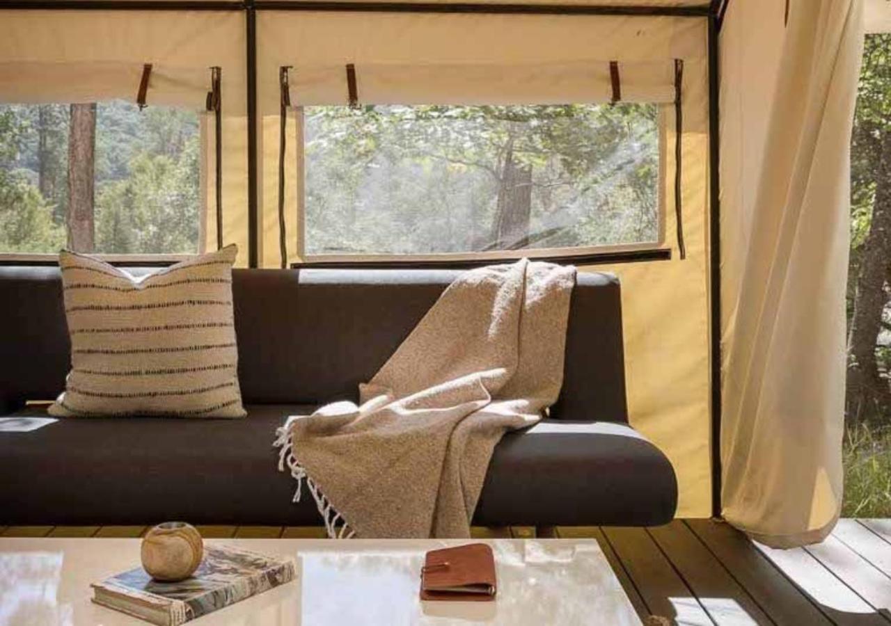 Autocamp Catskills Согертис Экстерьер фото